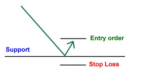 ورود پس از بانس از حمایت