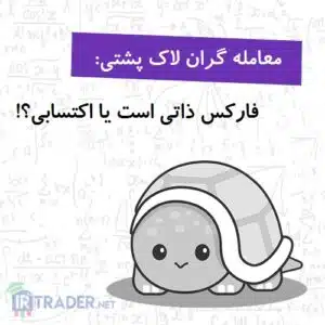 معامله گر لاکپشتی