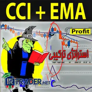 استراتژی ترکیبی