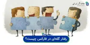 رفتار گله ای چیست