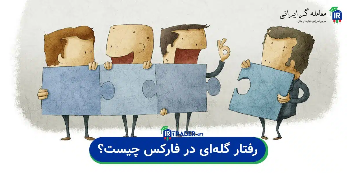 رفتار گله ای چیست