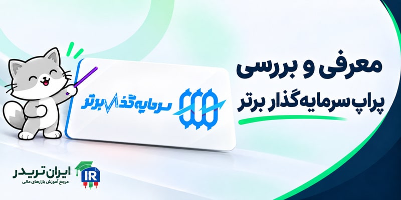 سرمایه گذار برتر
